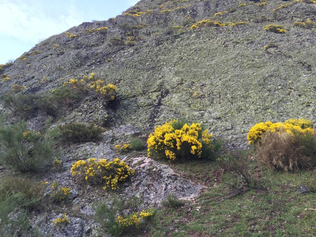 El Invernal de Picos Hostal Portilla de la Reina Exterior foto